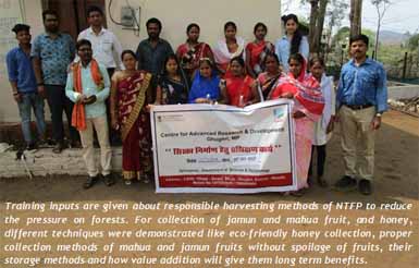 department-of-science-and-technology